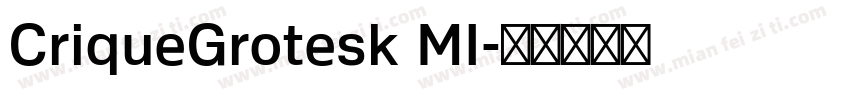 CriqueGrotesk MI字体转换